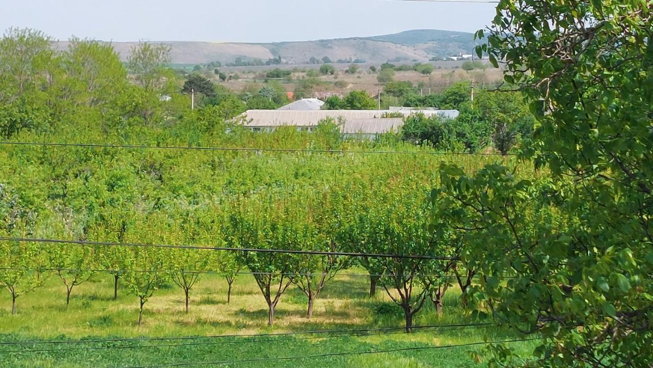 Agropensiunea Olteanu Niculitel Extérieur photo